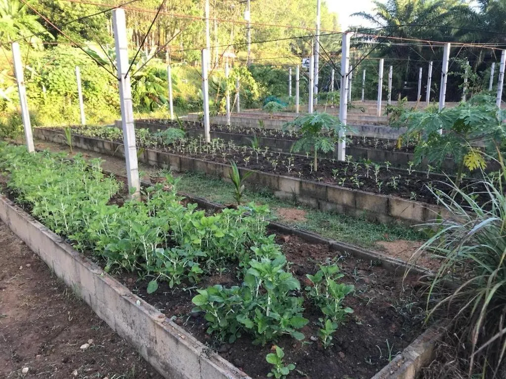 Κατάλυμα σε φάρμα Phang Nga Farmstay Καο Λακ