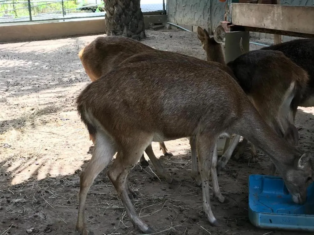 Κατάλυμα σε φάρμα Phang Nga Farmstay Καο Λακ Ταϊλάνδη